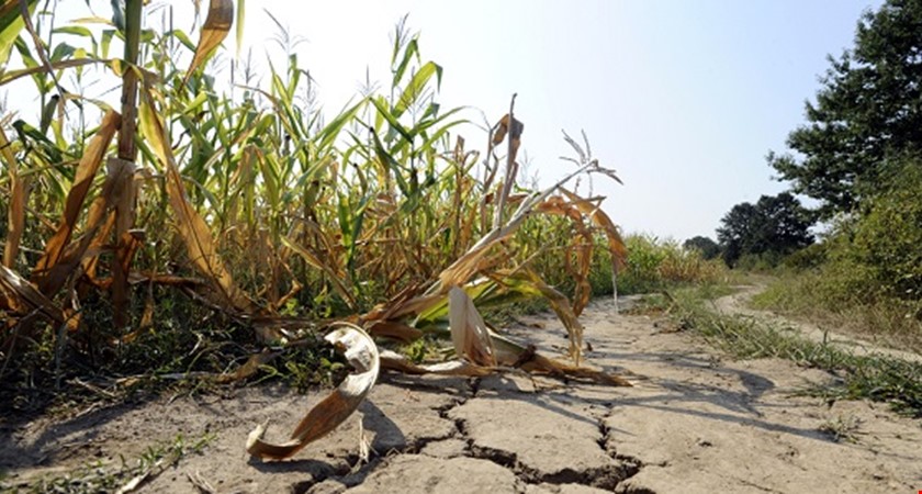 Ministr zemědělství: Na opatření proti suchu půjdou navíc tři miliardy ročně
