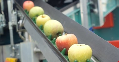 Kontrola ovoce a zeleniny zjistila pesticidy i těžké kovy