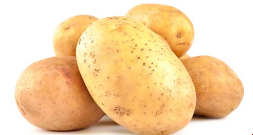 Typ brambor
