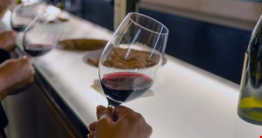 Vinaři: Loňská úroda hroznů zajistila velmi kvalitní růžová vína