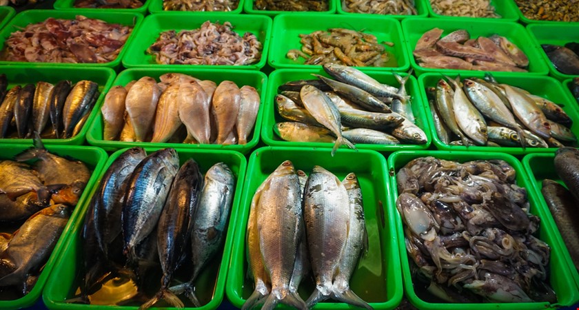 V Sapě byl odhalen nelegální sklad se dvěma tunami ryb