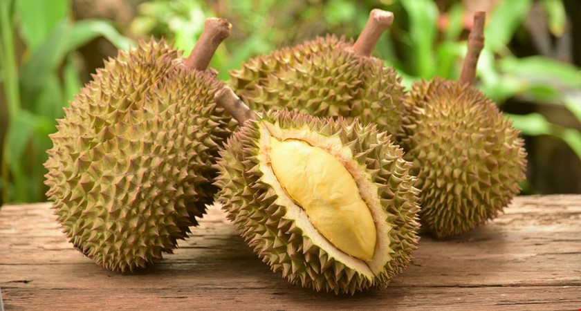 Páchnoucí durian by mohl Malajsii vydělat miliony