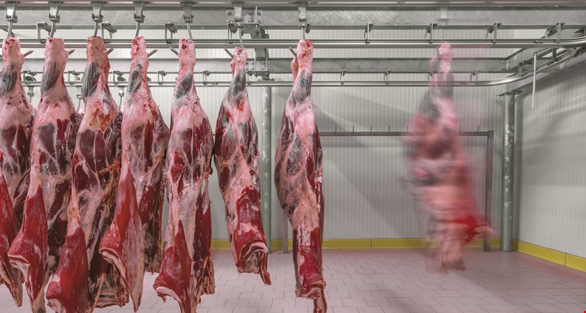 Brusel si posvítí na polské maso. Inspektory čeká 10 náročných dní