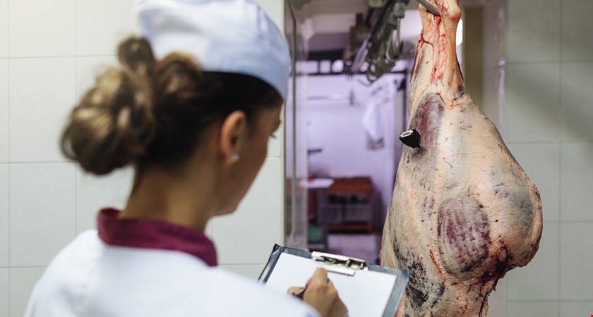Mimořádná opatření vůči dovozu polského masa za šest dní končí