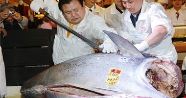 Tradiční dražba obřích tuňáků: Letos se ryba prodala za 400 milionů