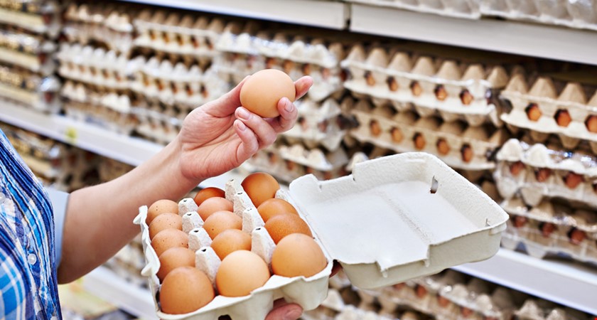 Co vám řeknou informace na vejcích?
