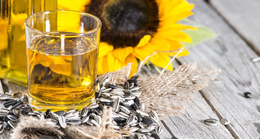 Olej ze slunečnic se používal jako lék proti hadímu uštknutí. Dnes na něm smažíme 90 procent pokrmů