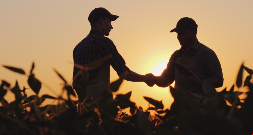To nejlepší na dosah ruky: Podpořte farmáře a pěstitele v okolí