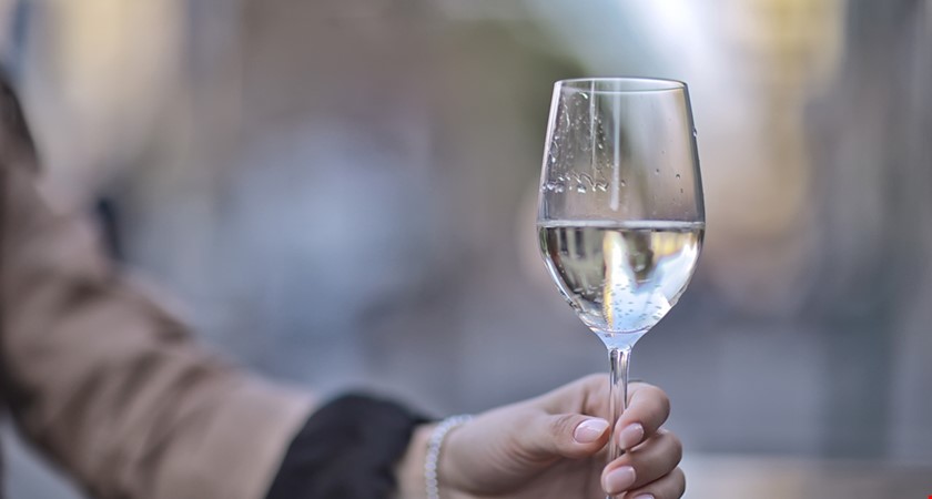 Svatomartinských vín bude letos asi o čtvrtinu méně, kvůli covidu