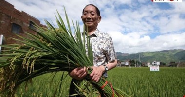 Příběh otce hybridní rýže: Zachránil lid od hladomoru